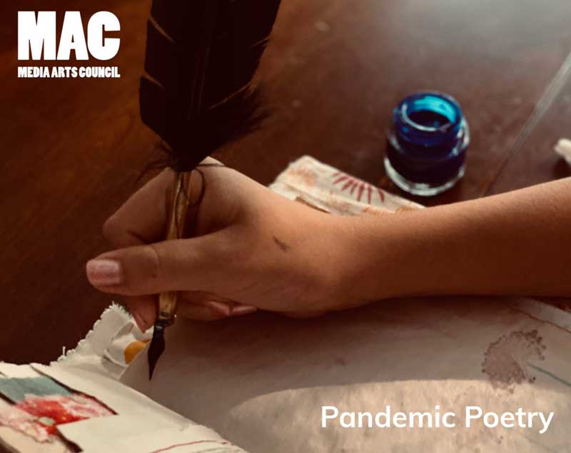 Pandemic Poetry Picnic