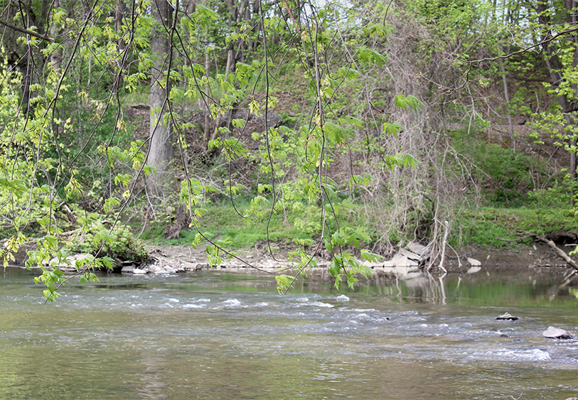 Brandywine River Clean Up