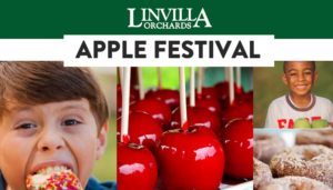 Linvilla Apple Festival