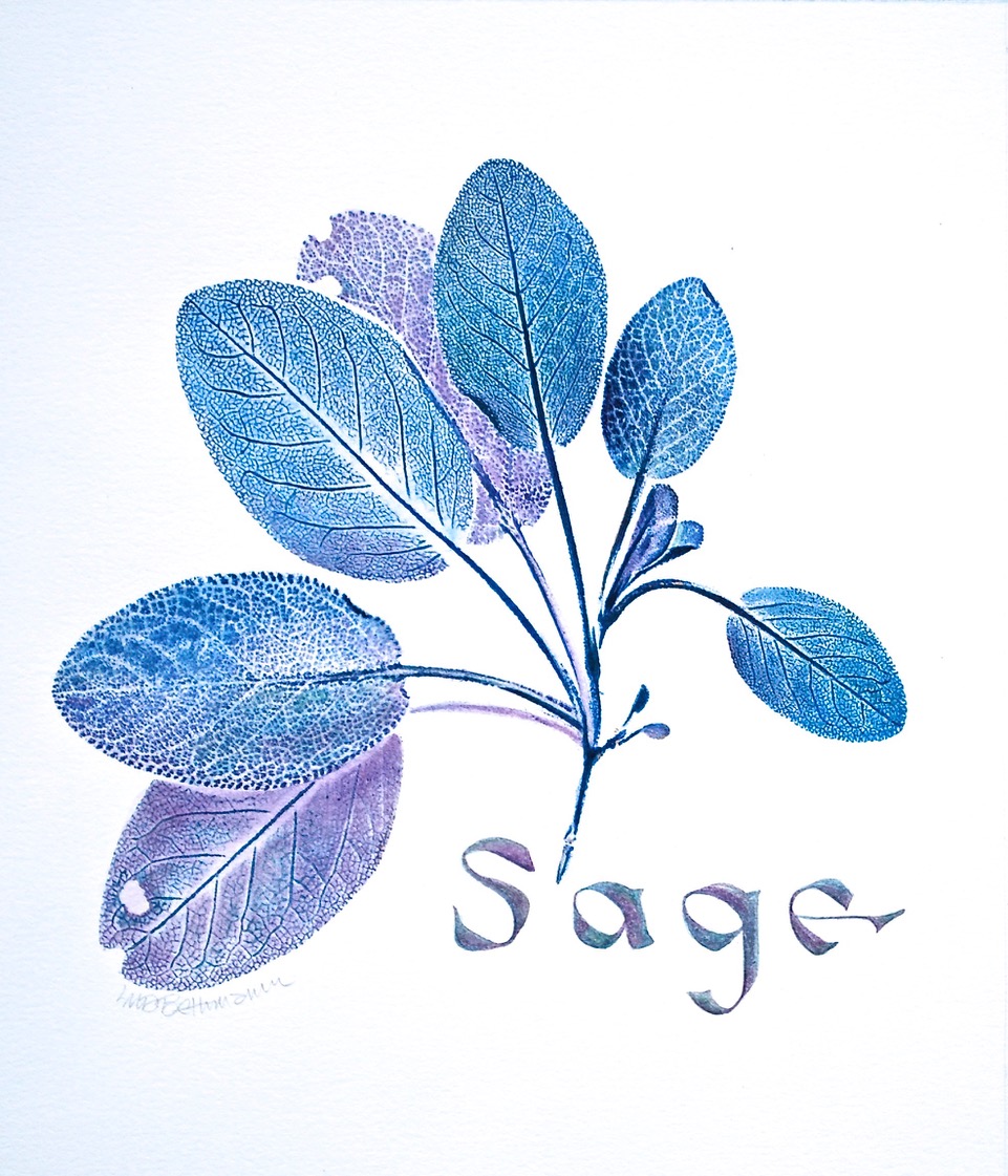 Sage print - for Nature Printing Workshop