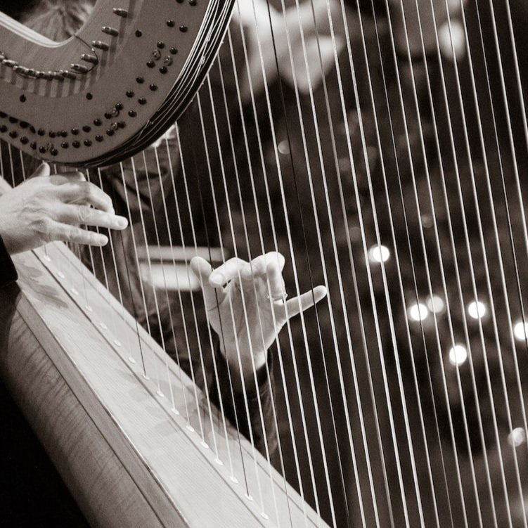 Photo of a Harp