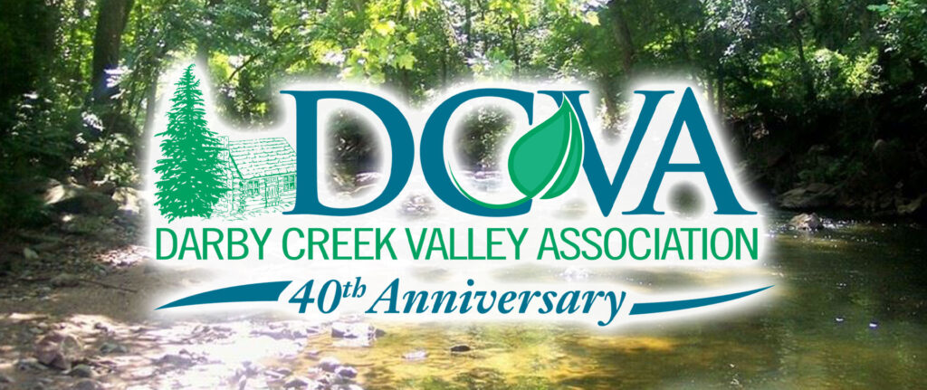 DCVA 40th Anniversary