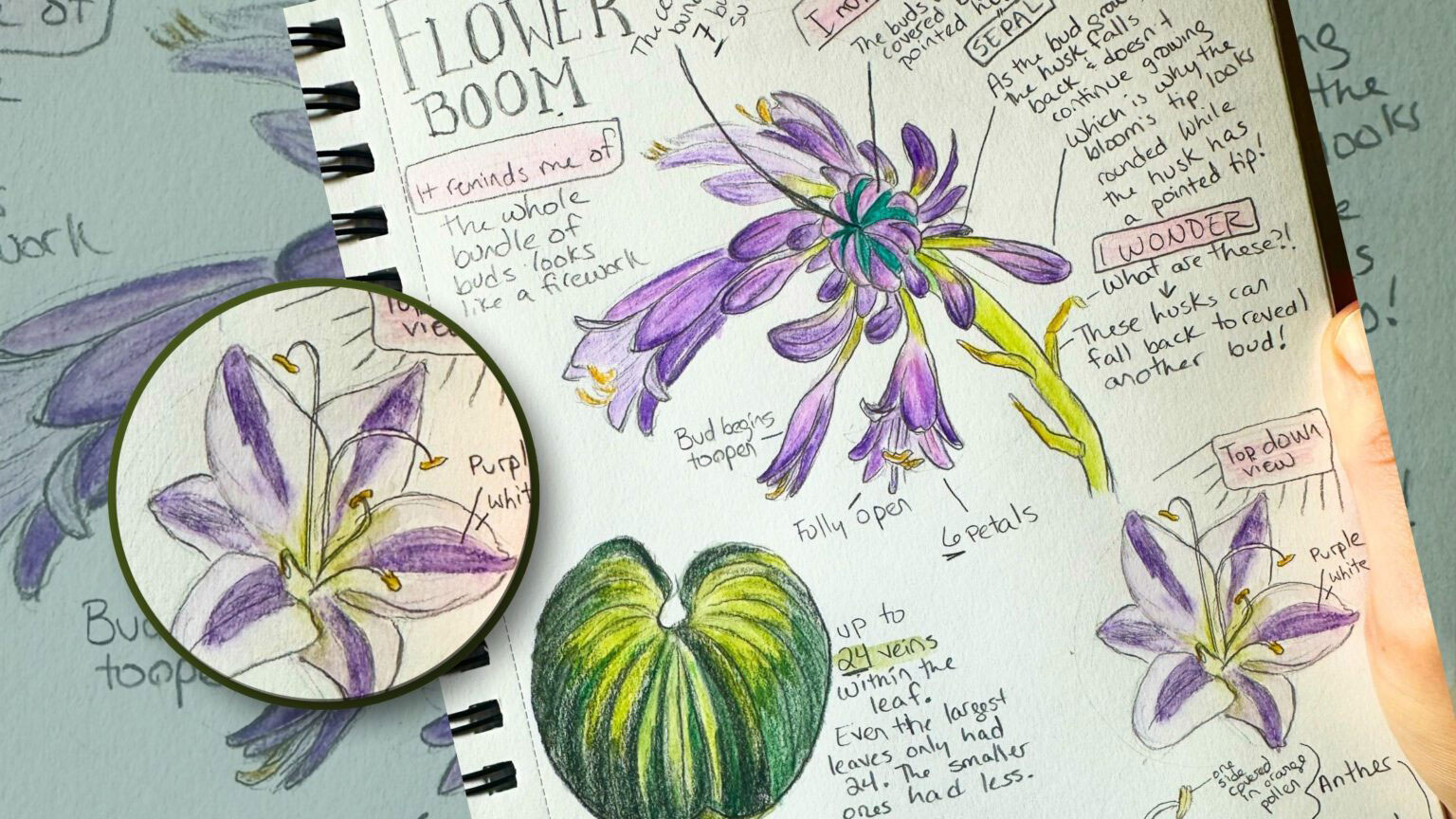 nature journaling