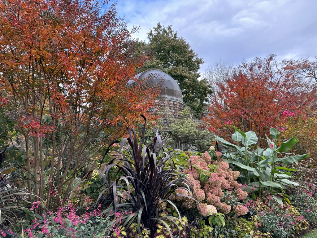 Scott Associates Garden Day