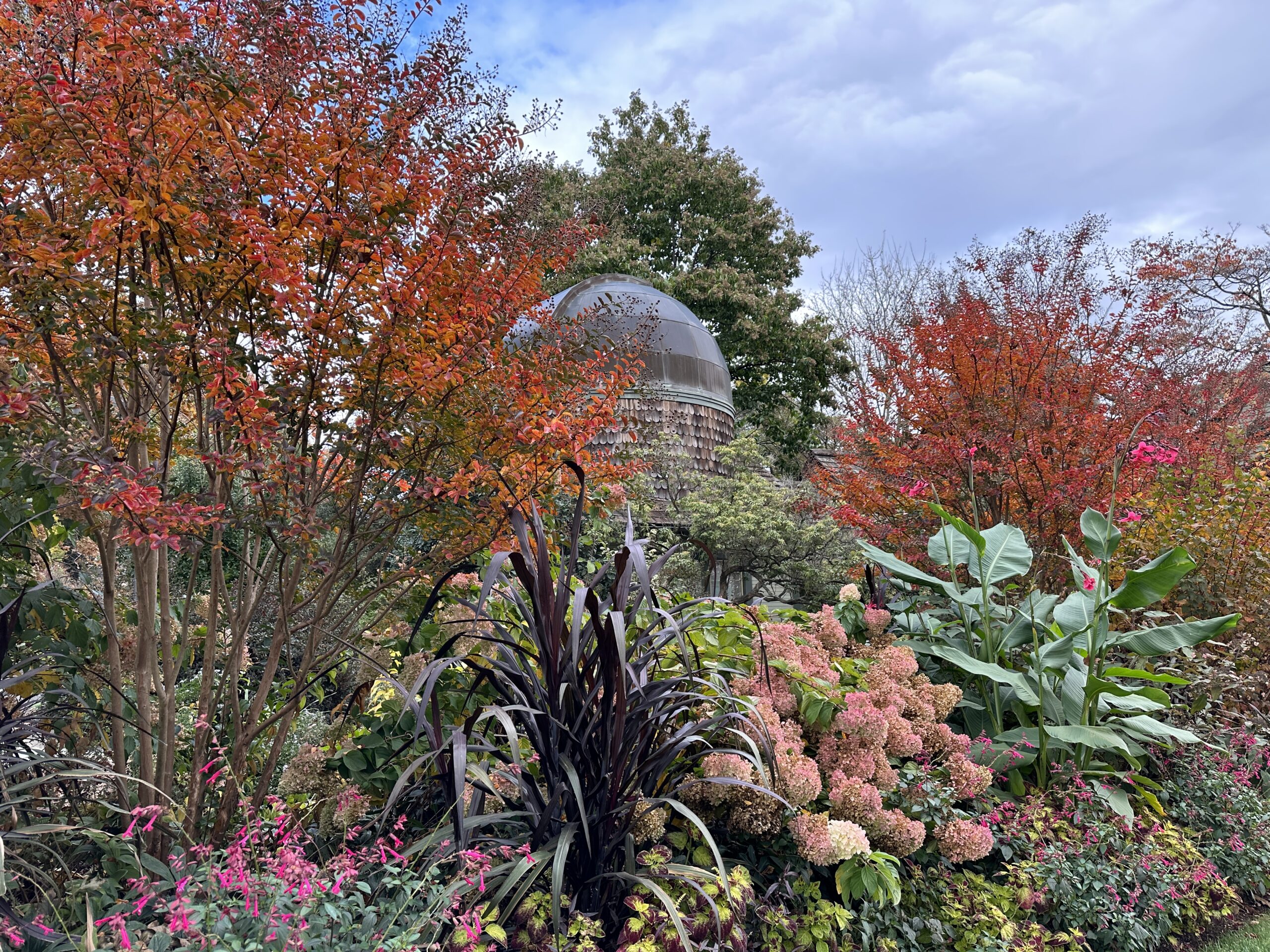 Scott Associates Garden Day